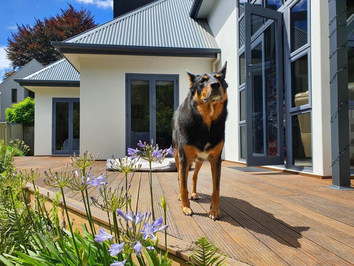 Christchurch Airport House 외부 사진